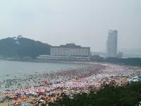 94243.webp