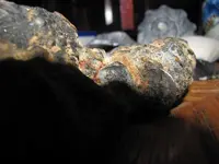 Coin Macro Pic 7.webp