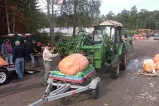 weighoff 008.webp