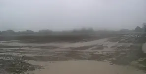 rain 003.webp