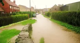 rain 001.webp