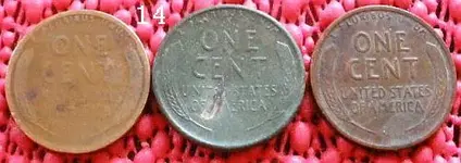 wheats2.webp