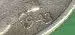 LastScan.webp