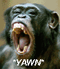 avatar_19212.gif