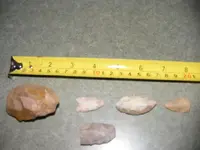 DSCF1380.webp