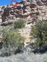 100_1913.webp