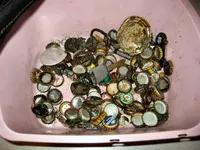 10-02-10 finds trash.webp