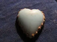 1021103.webp