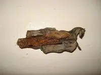 DSC02582_small.webp
