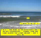 9131.webp