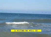 9132.webp