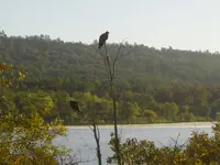 On The Lake 001.webp