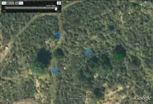 ut1066tree2dowsed.webp