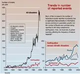 did_trends.webp
