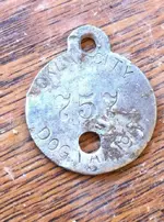 dogtag.webp