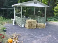 DSCF3903.webp
