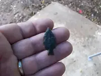 Alabama birdie3.webp