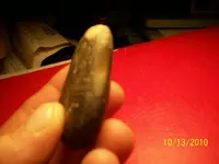100_0862-1.webp