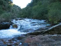 184_8481.webp