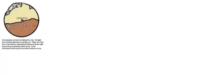 Coin Paint (1).webp