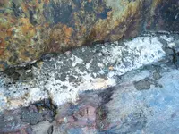 184_8479.webp 184_8479.webp