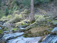 184_8482.webp