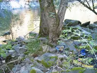 184_8487.webp