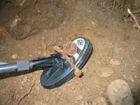 184_8492.webp 184_8492.webp