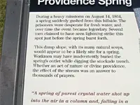 Spring 2.webp