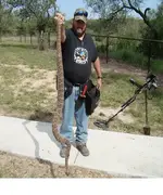 rattlesnake4.webp