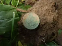 DSCF1722.webp