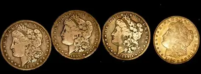 silver dollar 1.webp