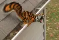 avatar_49843.webp
