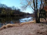 100_0135a.webp