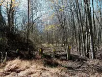 100_0139.webp
