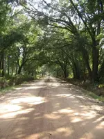 009.webp