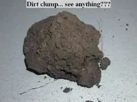 clump1.webp