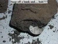clump4.webp