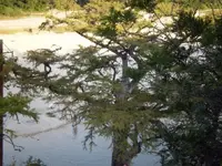 Uvalde, TX Hunt18.webp