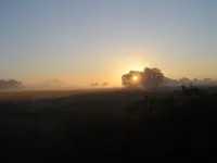 Foggy Morning 002.webp