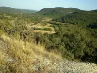 Uvalde, TX Hunt6.webp