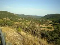 Uvalde, TX Hunt8.webp