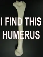 humerus.webp