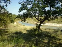 Uvalde, TX Hunt17.webp