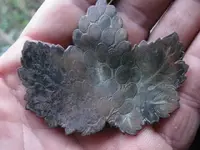 leaf 005.webp