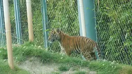 rsz_dscn0161.webp