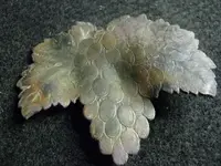 leaf 001.webp