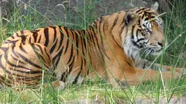 rsz_dscn0225.webp
