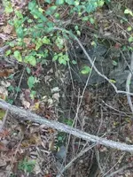 HPIM4688.webp