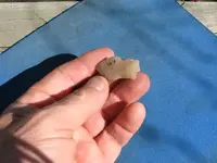 arrowheads 023.webp
